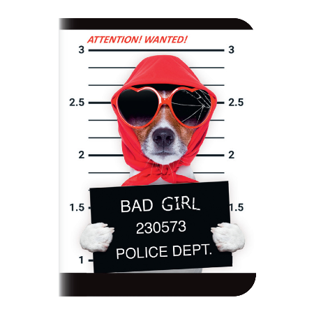 Sveska A4 lantajn 52 l LUX