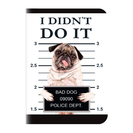 Sveska A4 lantajn 52 l LUX